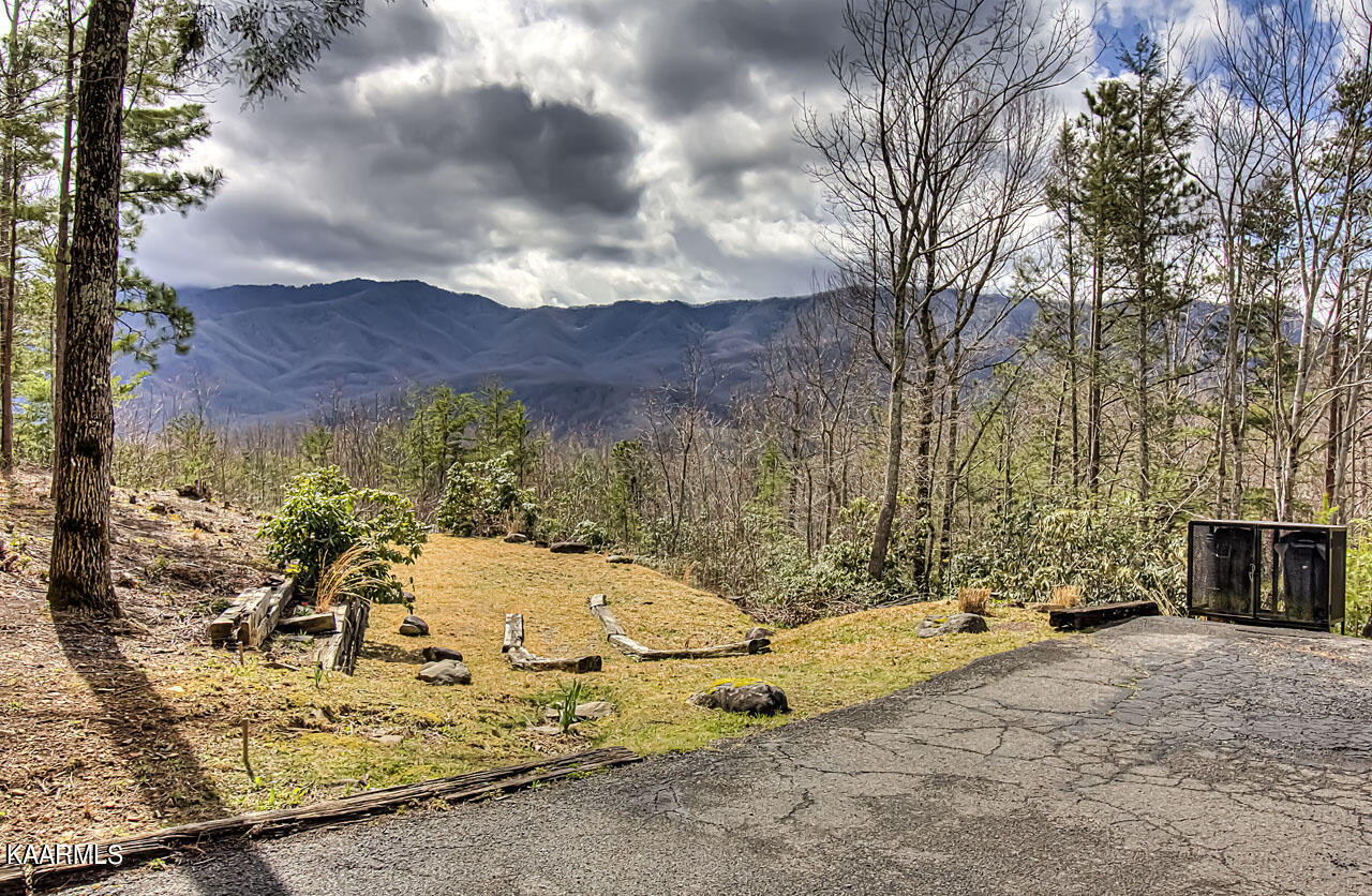 1112 Mathis Hollow Road Gatlinburg, TN 37738 - Photo 2 of 38 IMG_8601LR