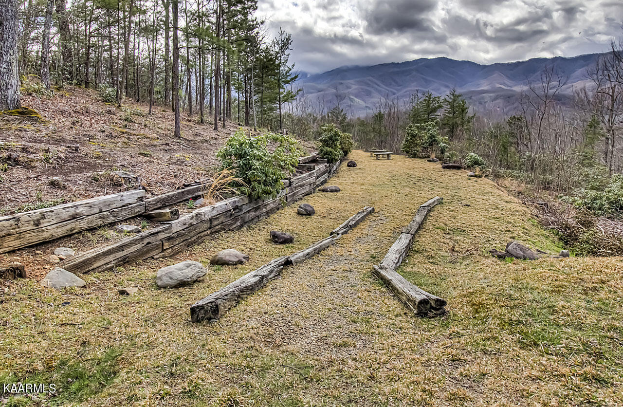 1112 Mathis Hollow Road Gatlinburg, TN 37738 - Photo 3 of 38 IMG_8592LR