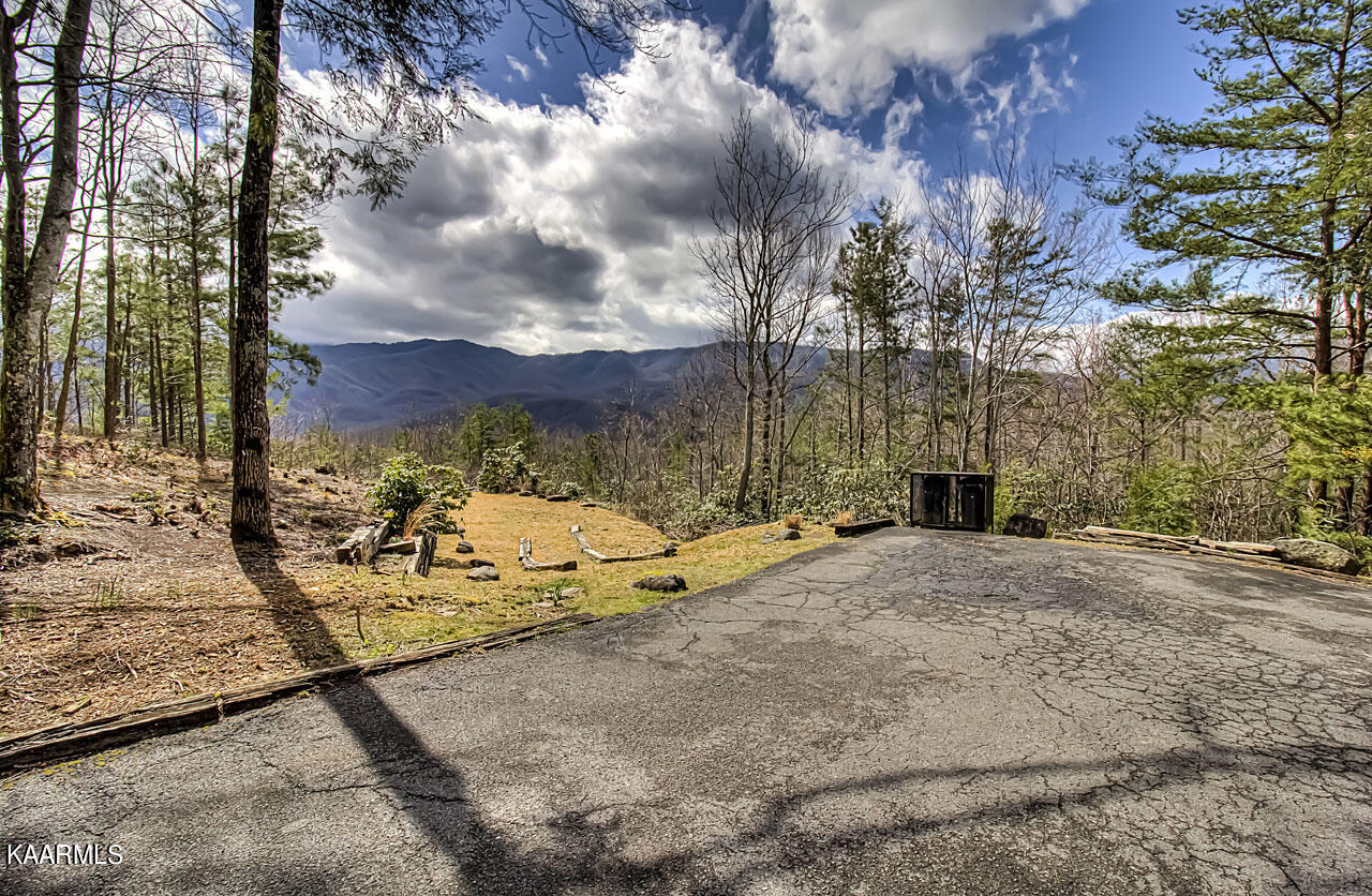 1112 Mathis Hollow Road Gatlinburg, TN 37738 - Photo 31 of 38 IMG_8598LR