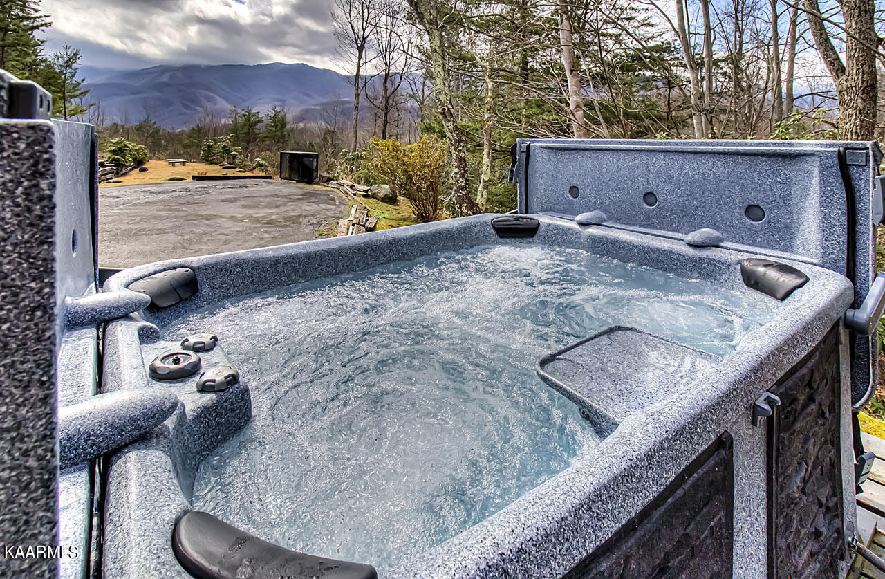 1112 Mathis Hollow Road Gatlinburg, TN 37738 - Photo 4 of 38 IMG_8610LR