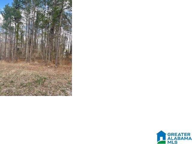 0 Nova Circle, Unit 22 Alpine, AL 35014 - Photo 1 of 1