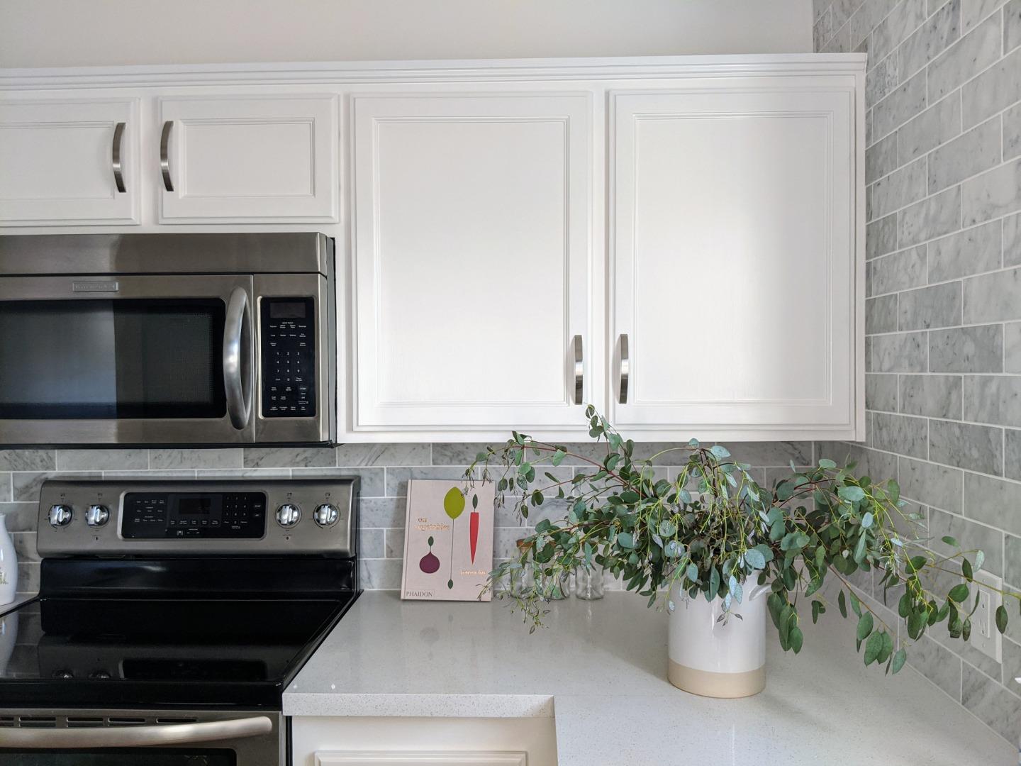 666 Encore Way San Jose, CA 95134 - Photo 12 of 41 a kitchen with a stove and a potted plant