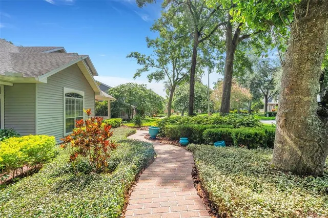 wooden floor in an empty room and a window