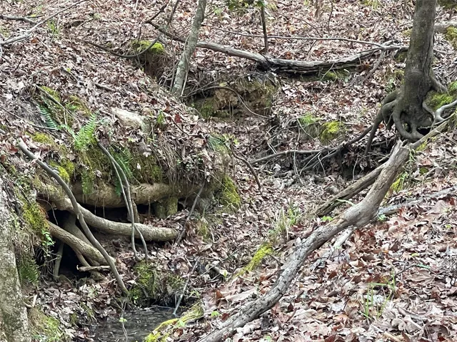 a view of an outdoor space