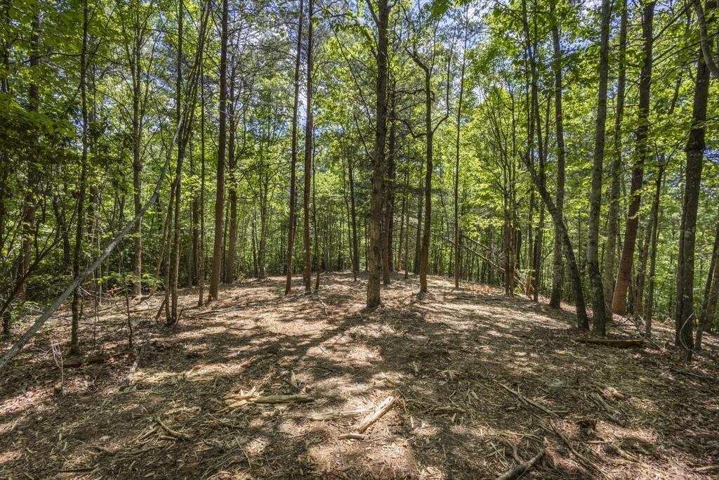 34 Donley Road Murphy, NC 28906 - Photo 24 of 37 Gallery Image 24