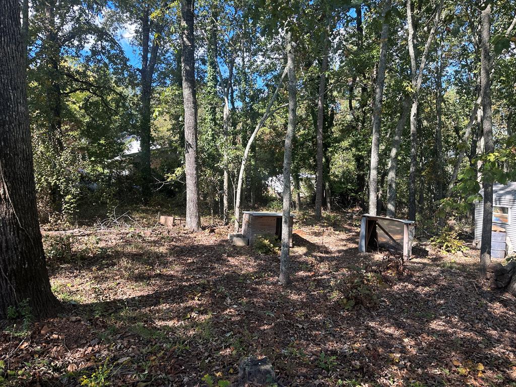 7051 Scenic Heights Road Manchester, GA 31816 - Photo 55 of 57 Gallery Image 55