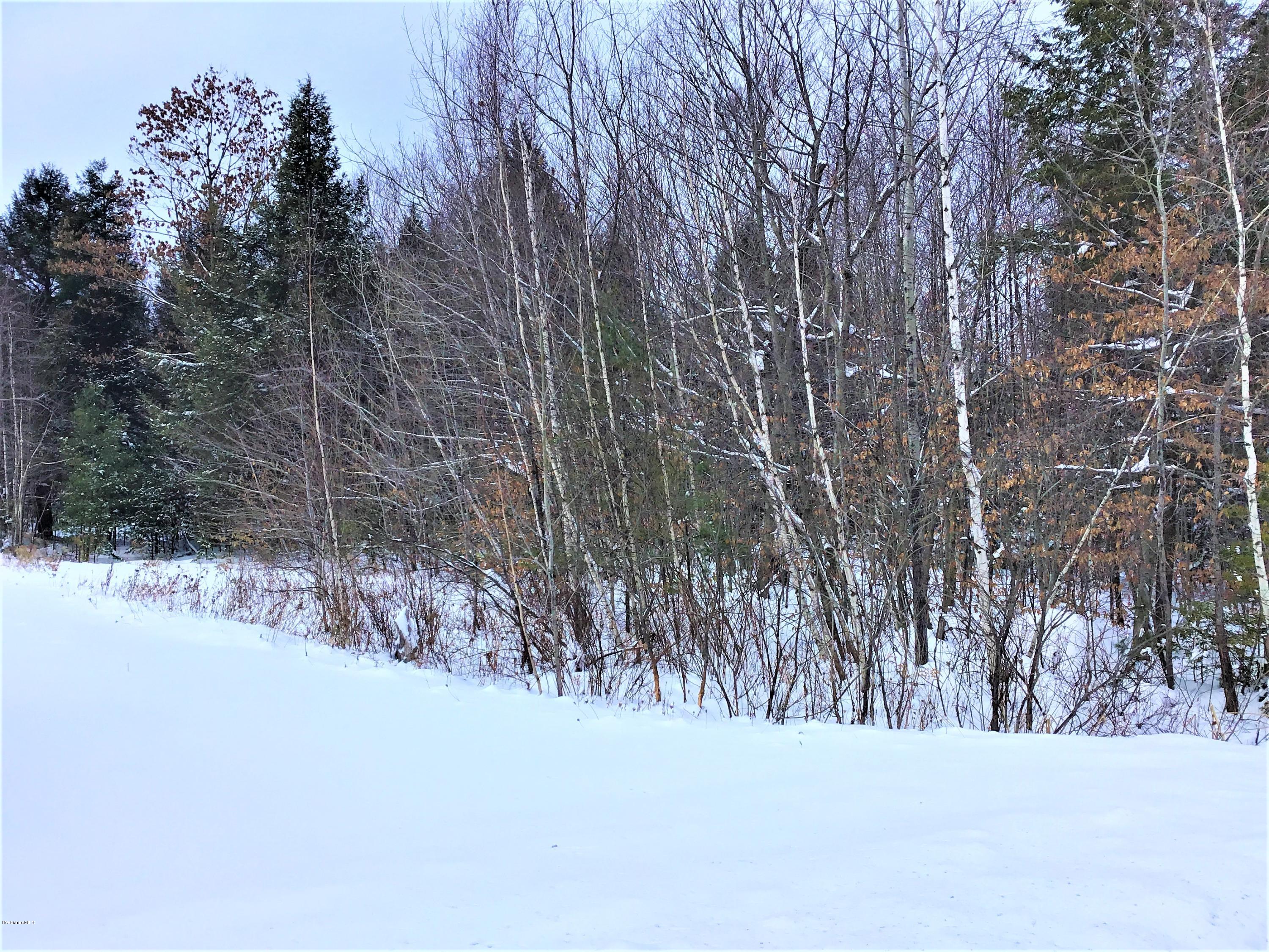 500 River Road Clarksburg, MA 01247 - Photo 2 of 3 a view of snow on the road