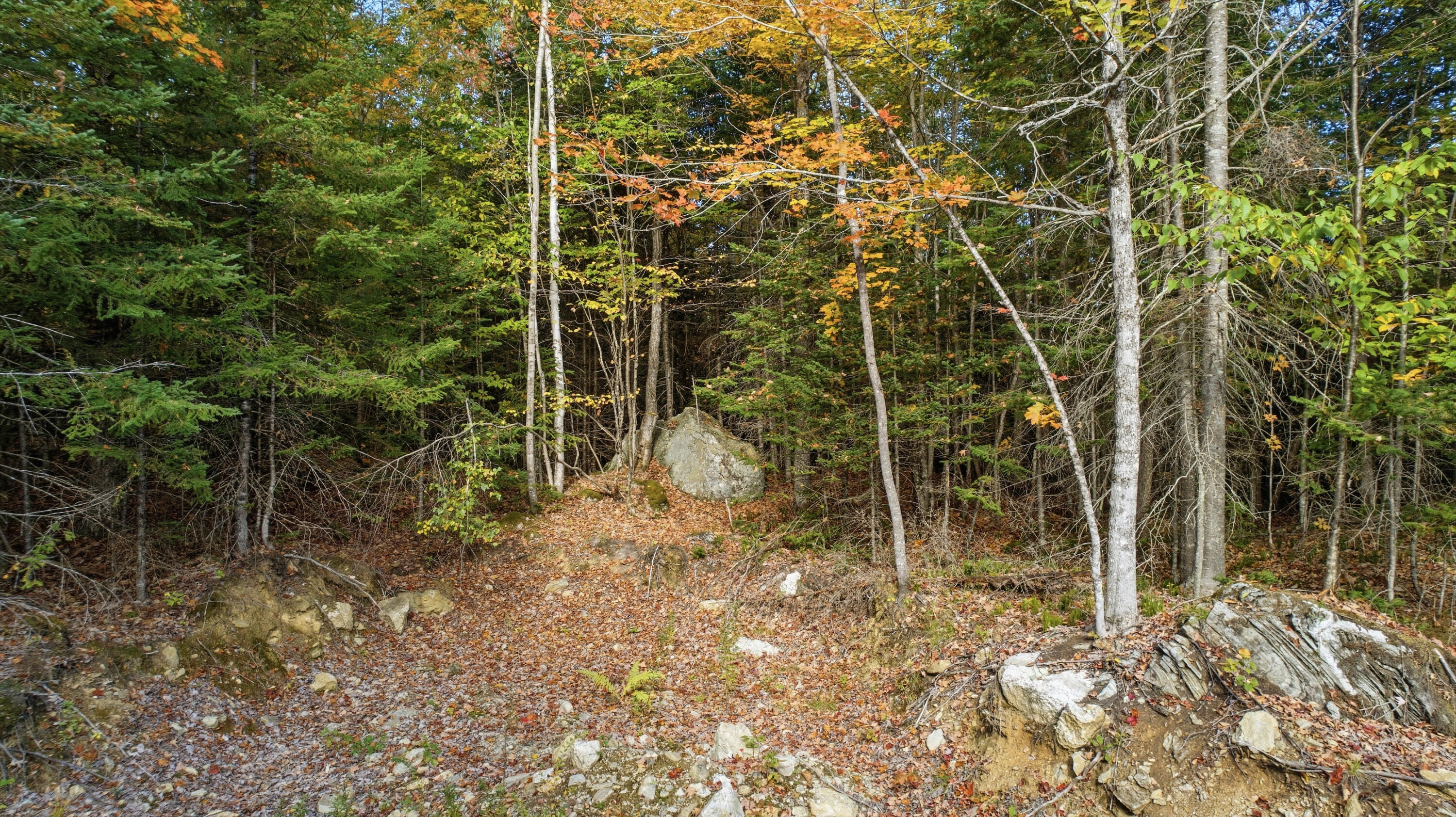 Lot 6 River Road Sumner, ME 04292 - Photo 20 of 39 Lot 6 River Sumner-20