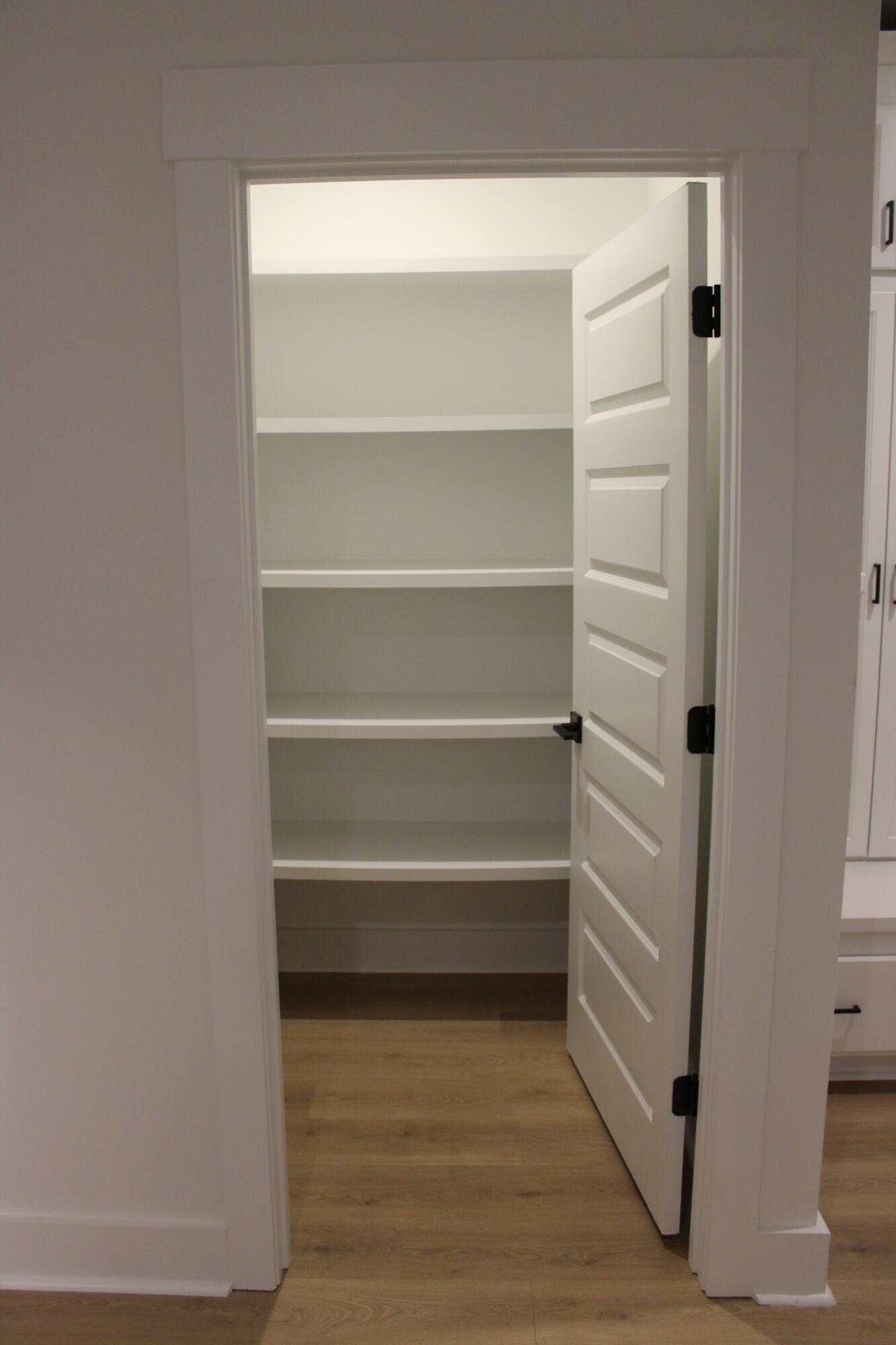 1047 Butterfly Lane Awendaw, SC 29429 - Photo 19 of 34 1pantry