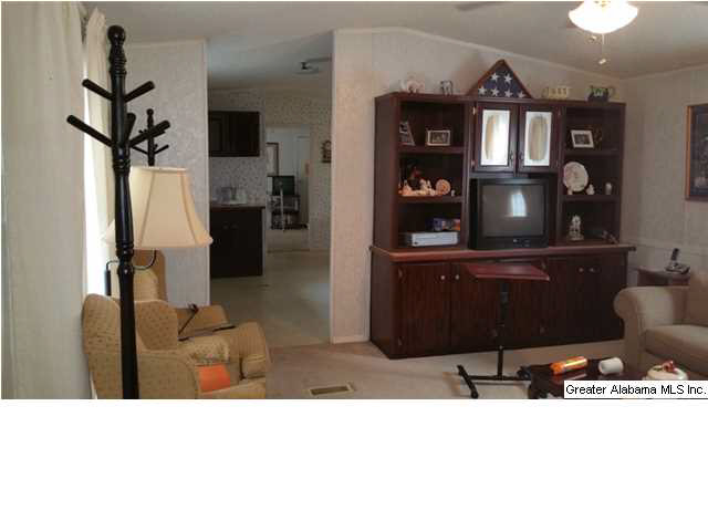 1607 Spring Road Ohatchee, AL 36271 - Photo 3 of 30