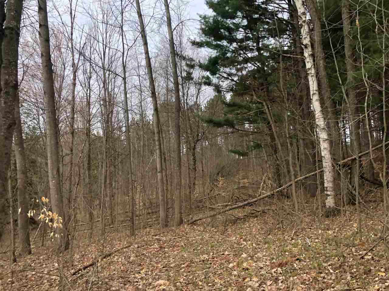 40-acres East Cranberry Lake Road Harrison, MI 48625 - Photo 17 of 21