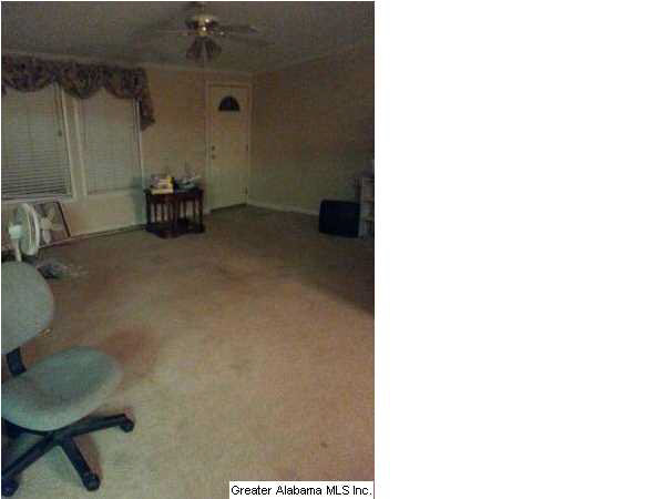14329 Rockhouse Road Brookwood, AL 35444 - Photo 12 of 21