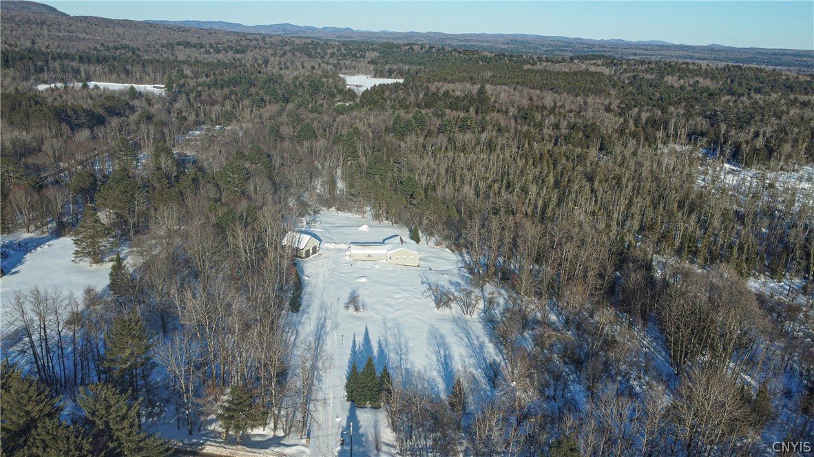388 Peck Road Salisbury, NY 13454 - Photo 5 of 49 22 acres with frontage Shaad rd.