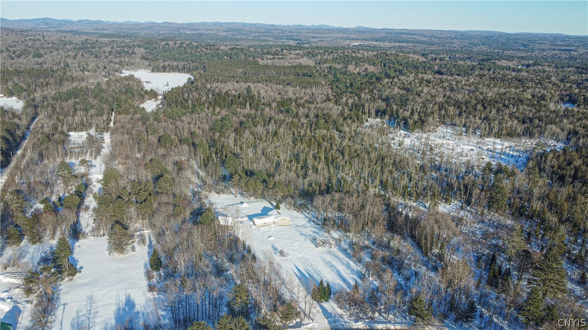 388 Peck Road Salisbury, NY 13454 - Photo 6 of 49 22 acres