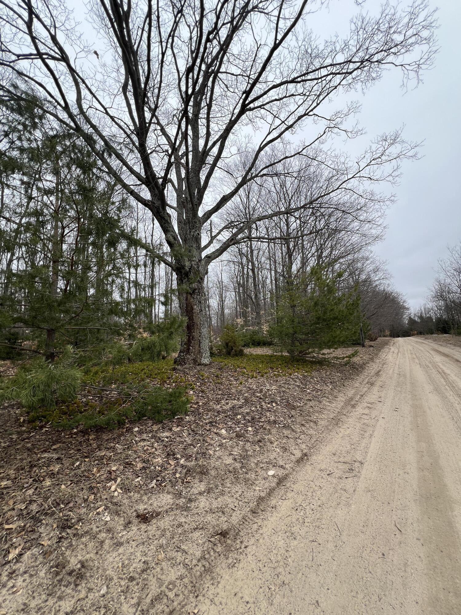 North Dennis Road Ludington, MI 49431 - Photo 2 of 6 IMG_2105