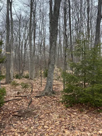 $150,000 | North Dennis Road, Ludington, MI 49431