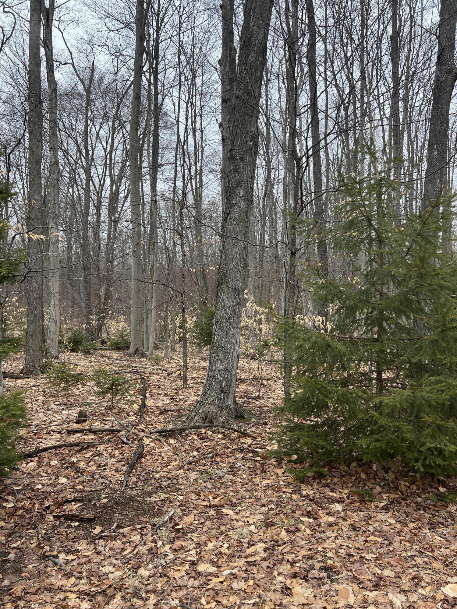 North Dennis Road Ludington, MI 49431 - Photo 3 of 6 IMG_2103