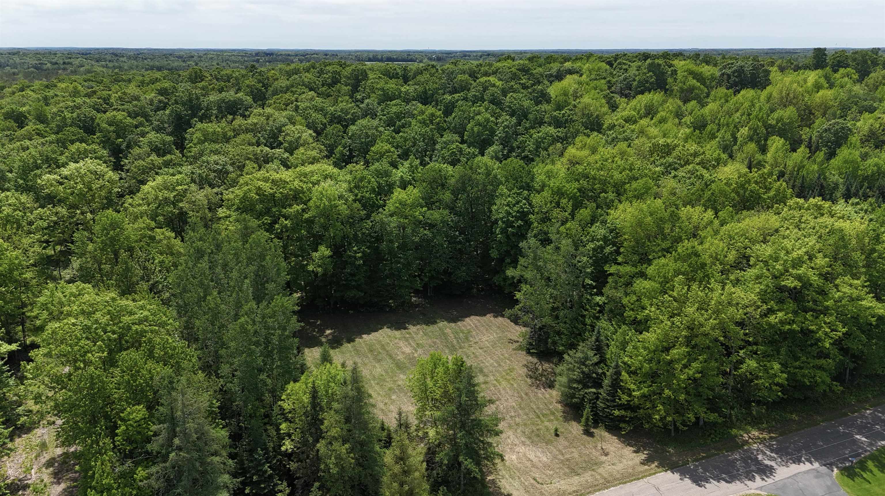 Hill Road Birnamwood, WI 54414 - Photo 2 of 4