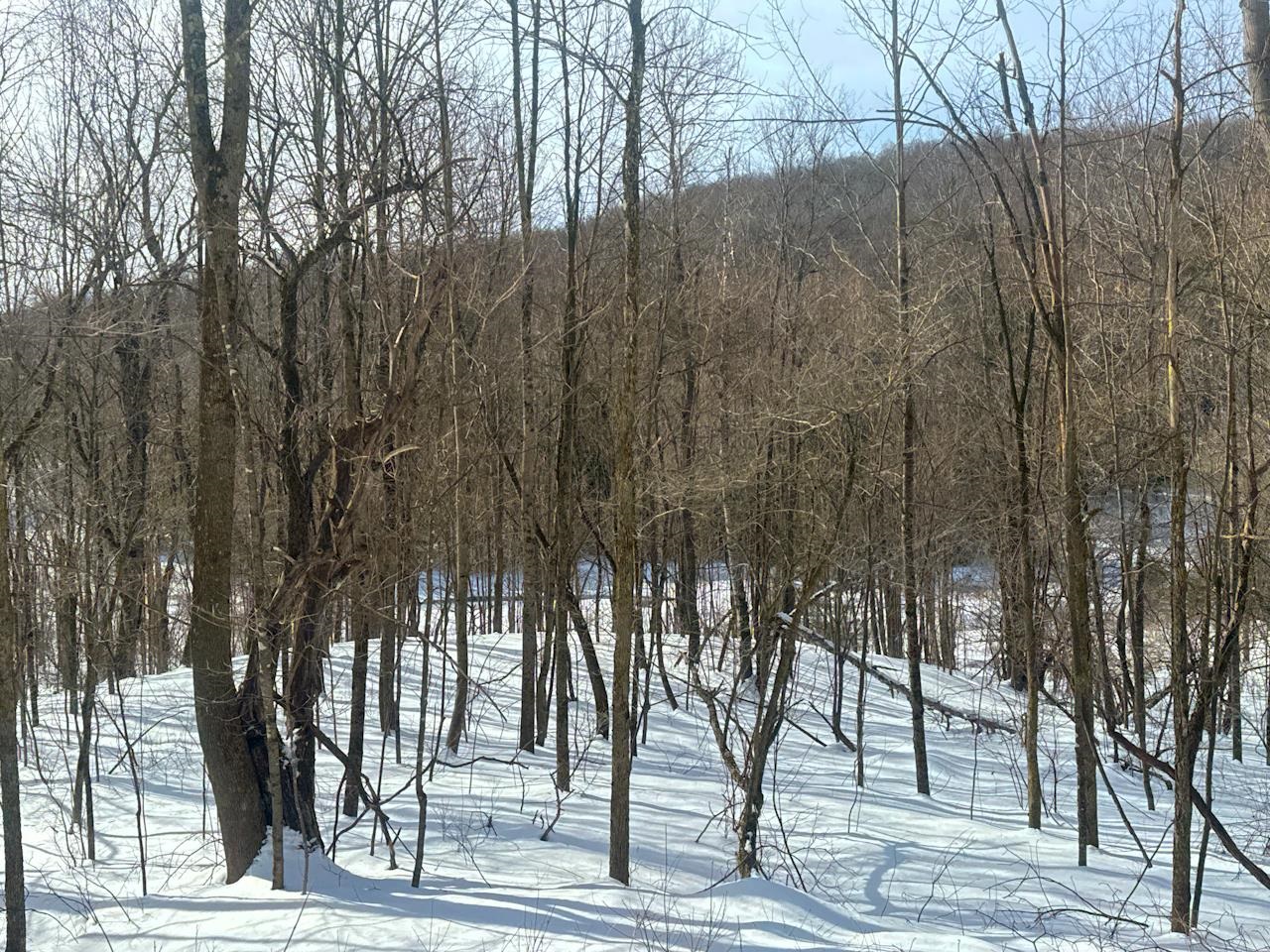 3875 North Hollow Road Granville, VT 05747 - Photo 29 of 40 Gallery Image 29