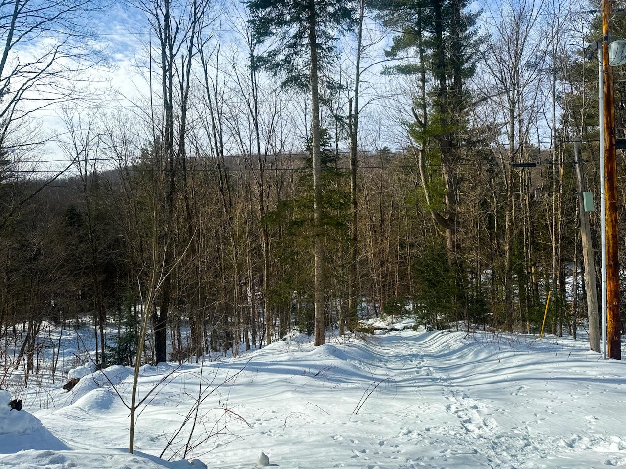 3875 North Hollow Road Granville, VT 05747 - Photo 30 of 40 Gallery Image 30