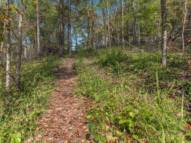 $62,500 | Lot 1 1240th Avenue, Glenwood City, WI 54013