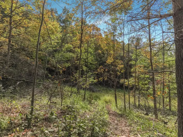 $62,500 | Lot 1 1240th Avenue, Glenwood City, WI 54013