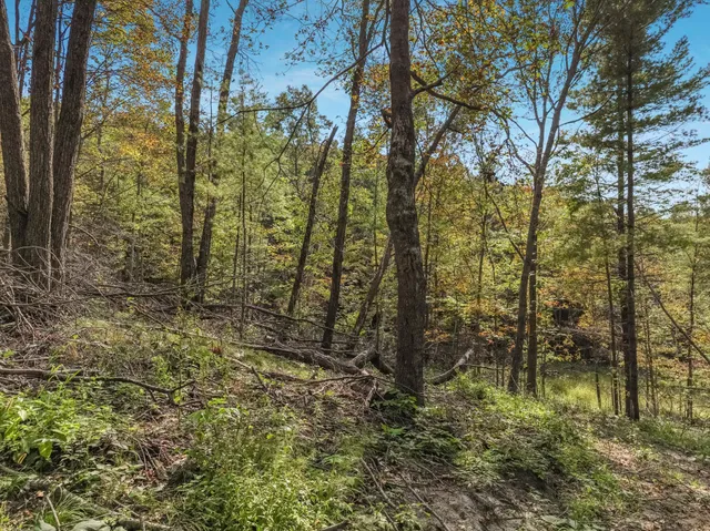 $62,500 | Lot 1 1240th Avenue, Glenwood City, WI 54013