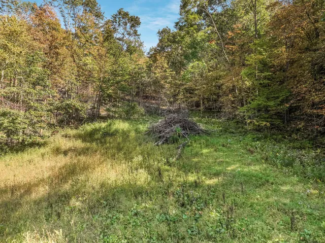 $62,500 | Lot 1 1240th Avenue, Glenwood City, WI 54013