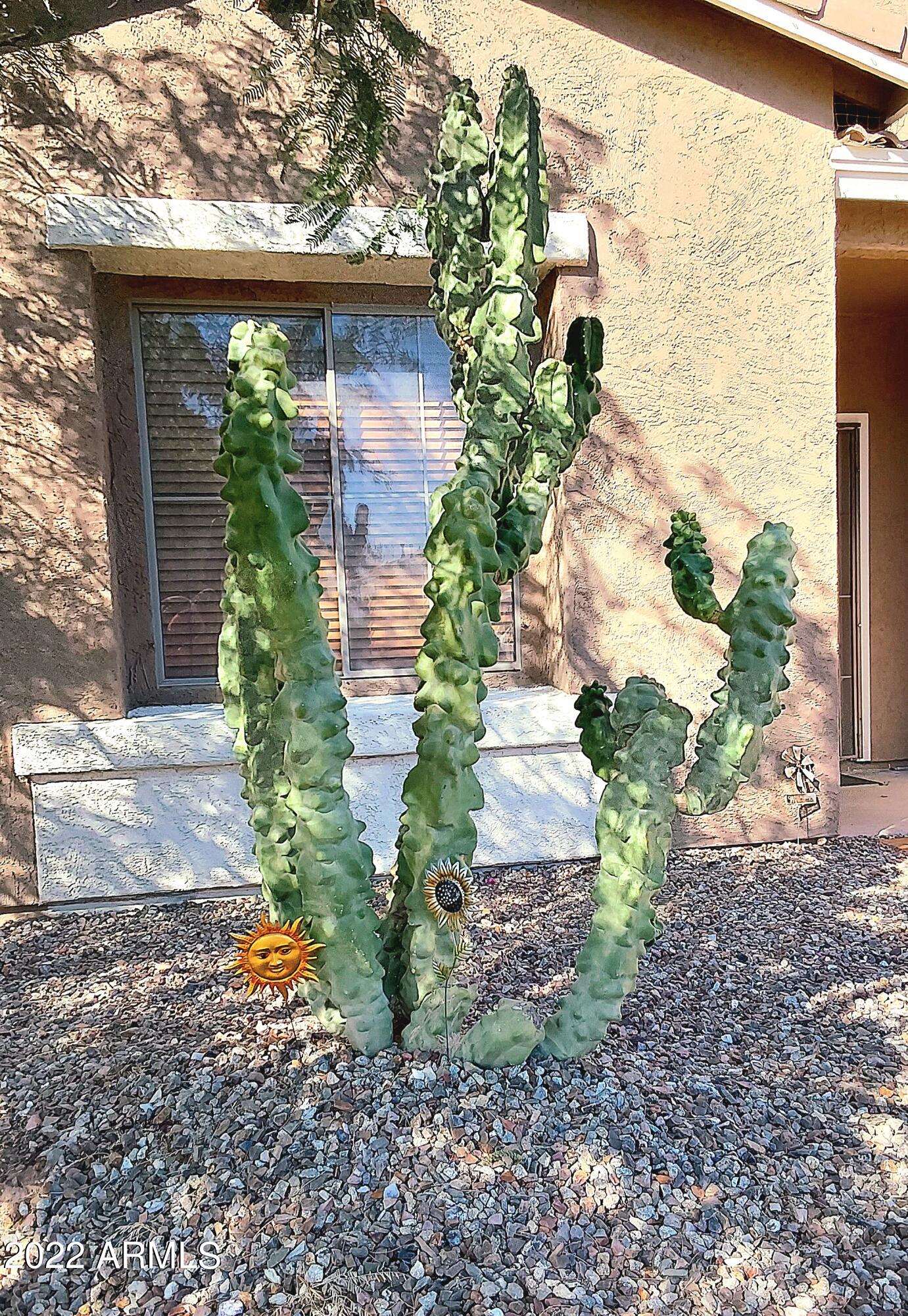 45290 Miramar Road Maricopa, AZ 85139 - Photo 28 of 55 Miramar 15