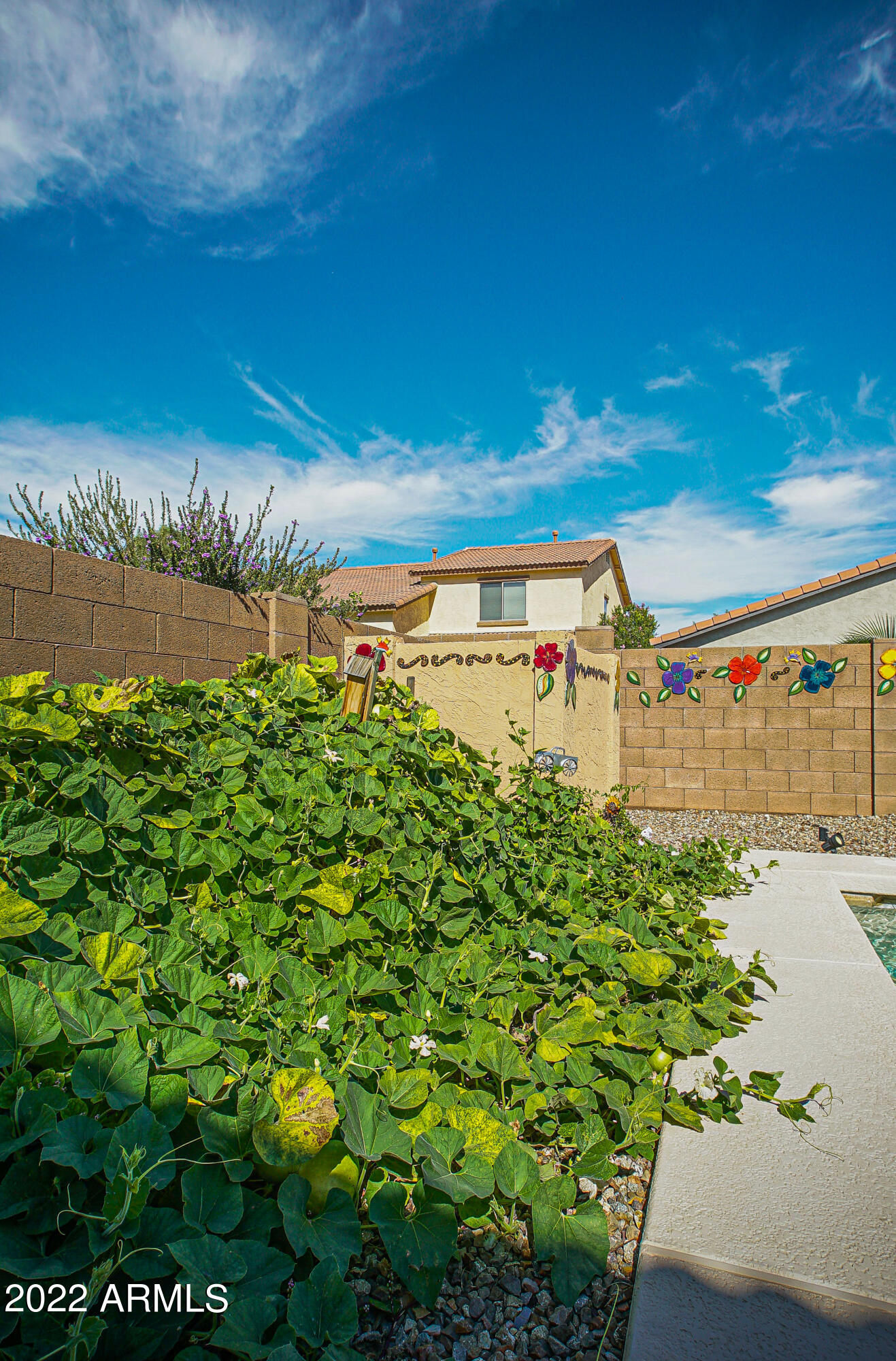 45290 Miramar Road Maricopa, AZ 85139 - Photo 55 of 55 DSC00018
