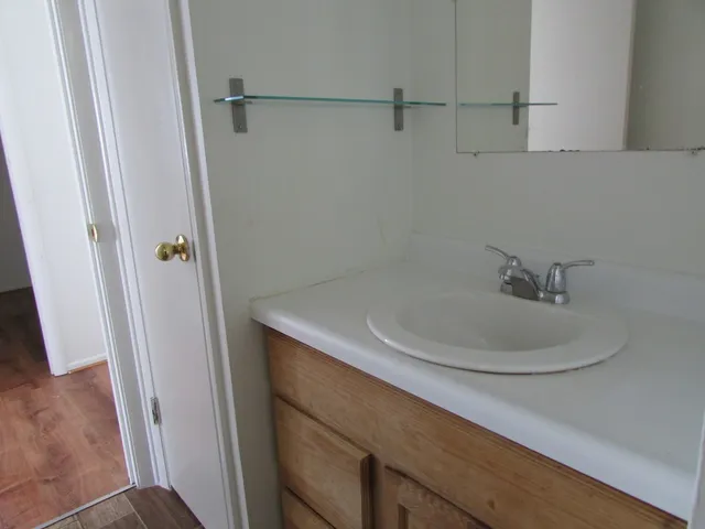 a bathroom with a sink and a mirror