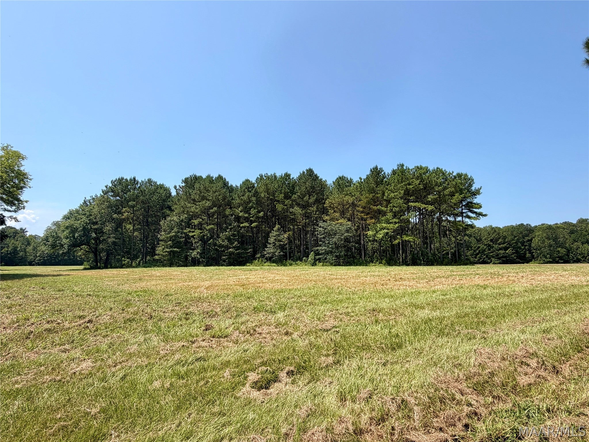 0 County Road 2 Road Hardaway, AL 36039 - Photo 9 of 24 Gallery Image 9
