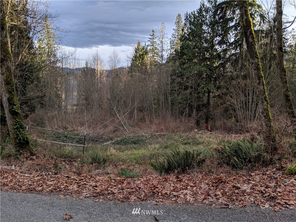 -nhn Mountain View Road Mount Vernon, WA 98274 - Photo 14 of 15 Gallery Image 14