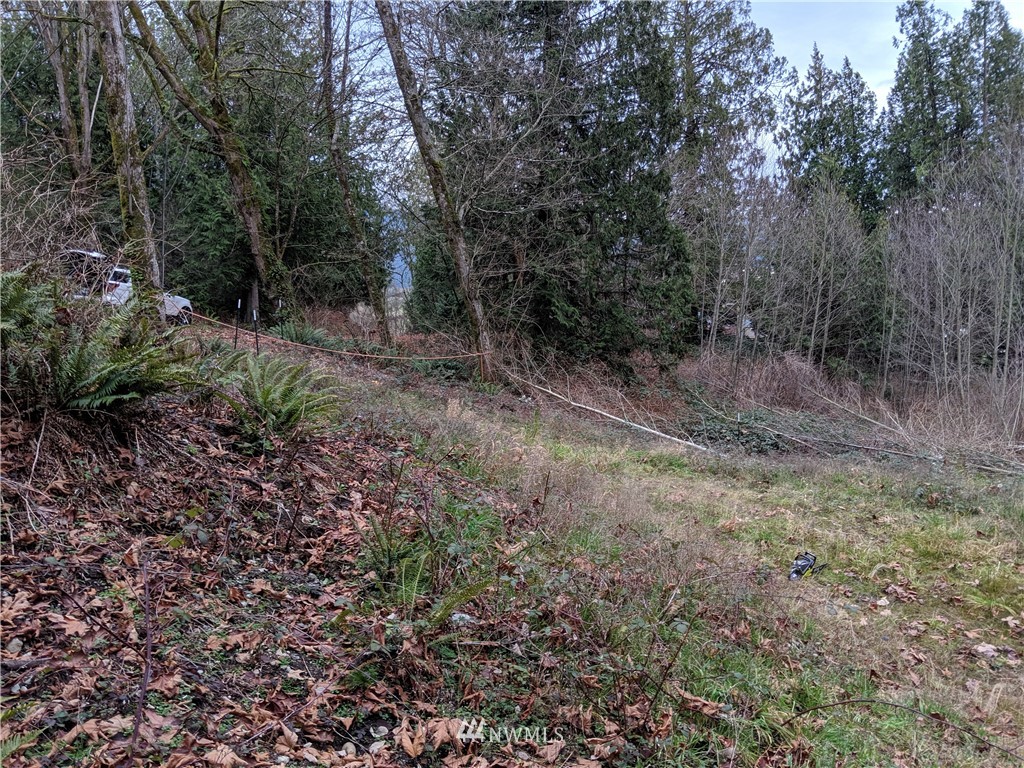 -nhn Mountain View Road Mount Vernon, WA 98274 - Photo 3 of 15 Gallery Image 3