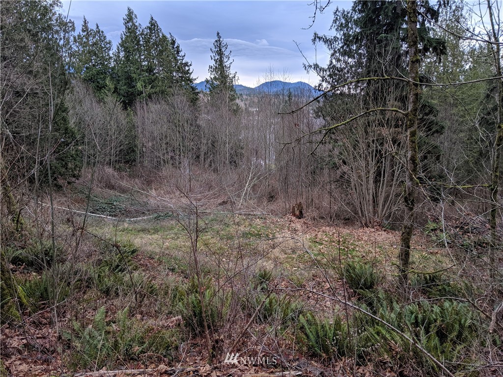 -nhn Mountain View Road Mount Vernon, WA 98274 - Photo 8 of 15 Gallery Image 8