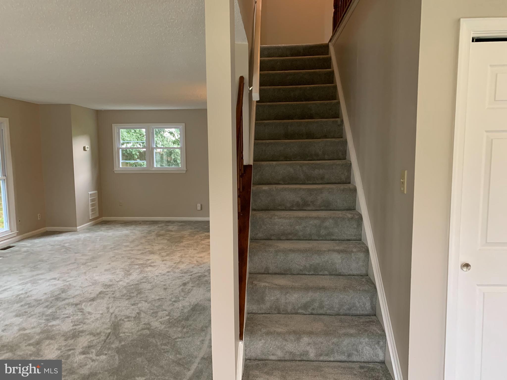 6728 Anders Terrace Springfield, VA 22151 - Photo 20 of 32