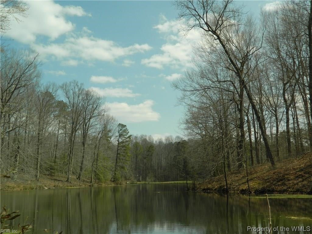 Lot 12 Lees Neck Farm Road Saluda, VA 23149 - Photo 3 of 5 Gallery Image 3