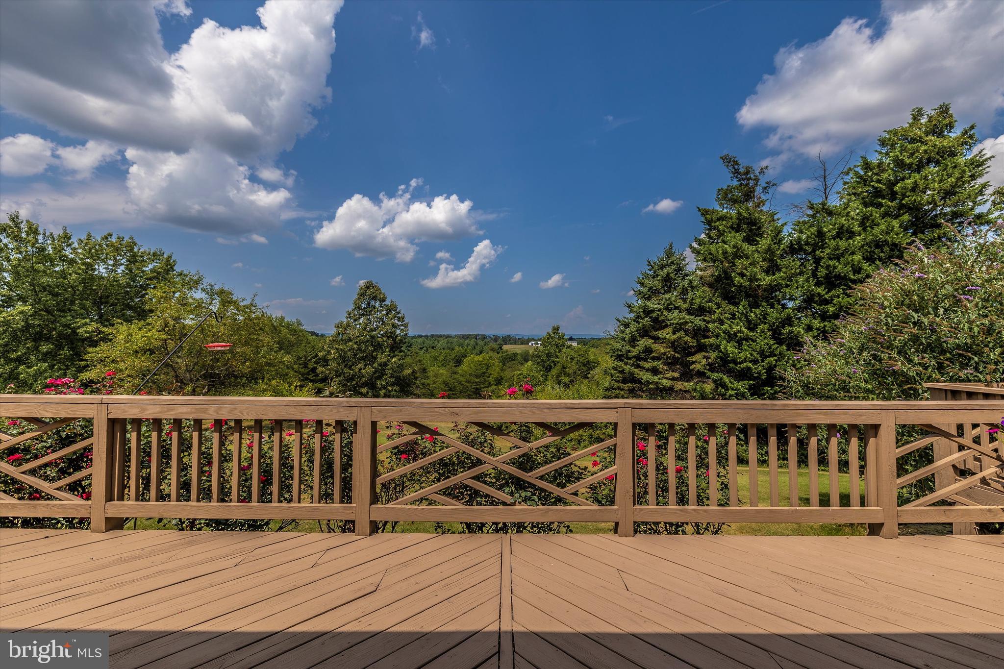 11057 Bennie Duncan Road Frederick, MD 21701 - Photo 56 of 89 View from deck