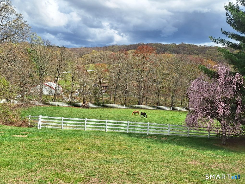 127 Huntingtown Road Newtown, CT 06470 - Photo 30 of 38 Views of Neighboring Horse Property