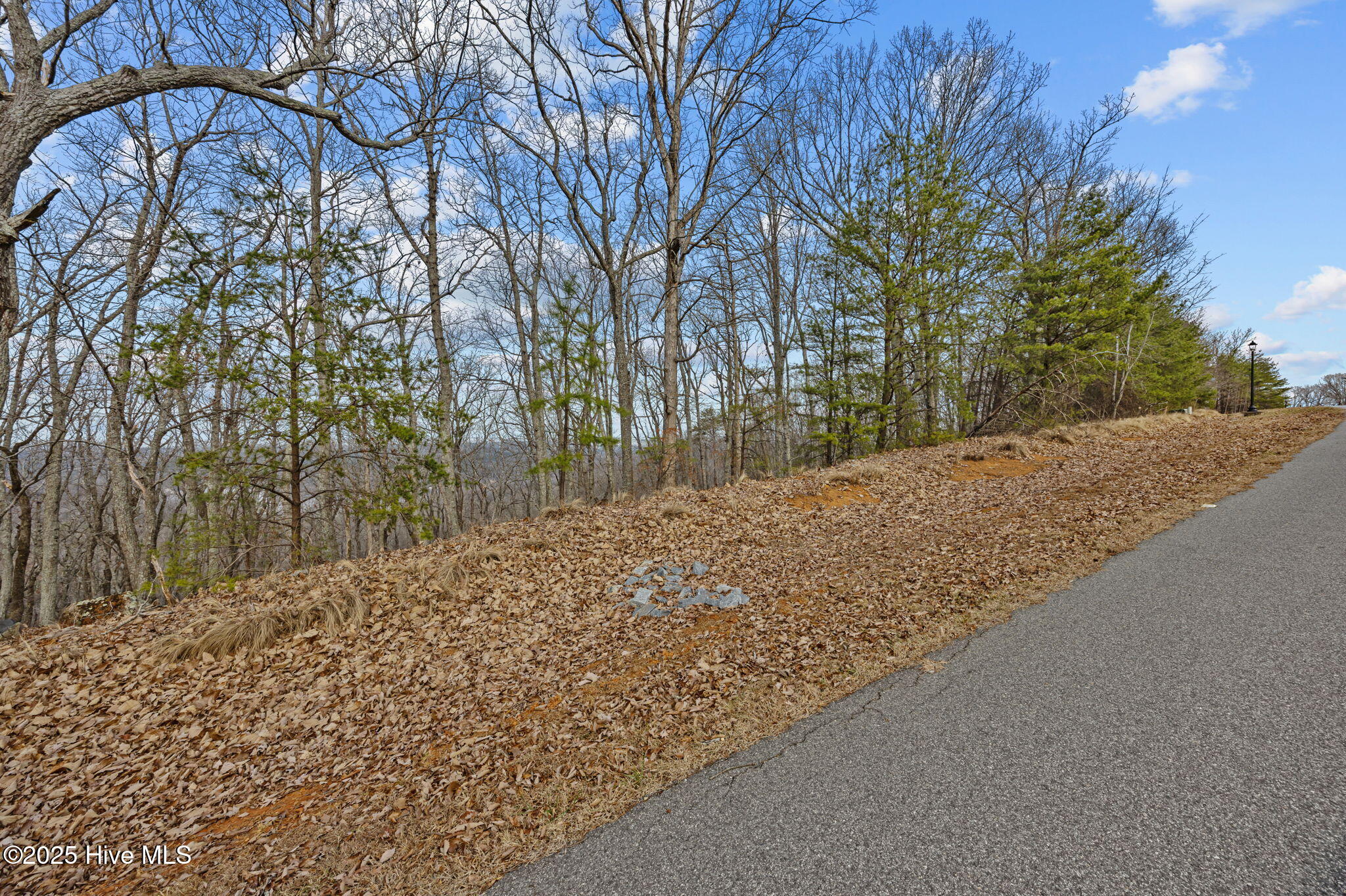 2389 Sierra Trace Road Denton, NC 27239 - Photo 3 of 27 27-web-or-mls-2389 Seirra Trace Rd EXT01