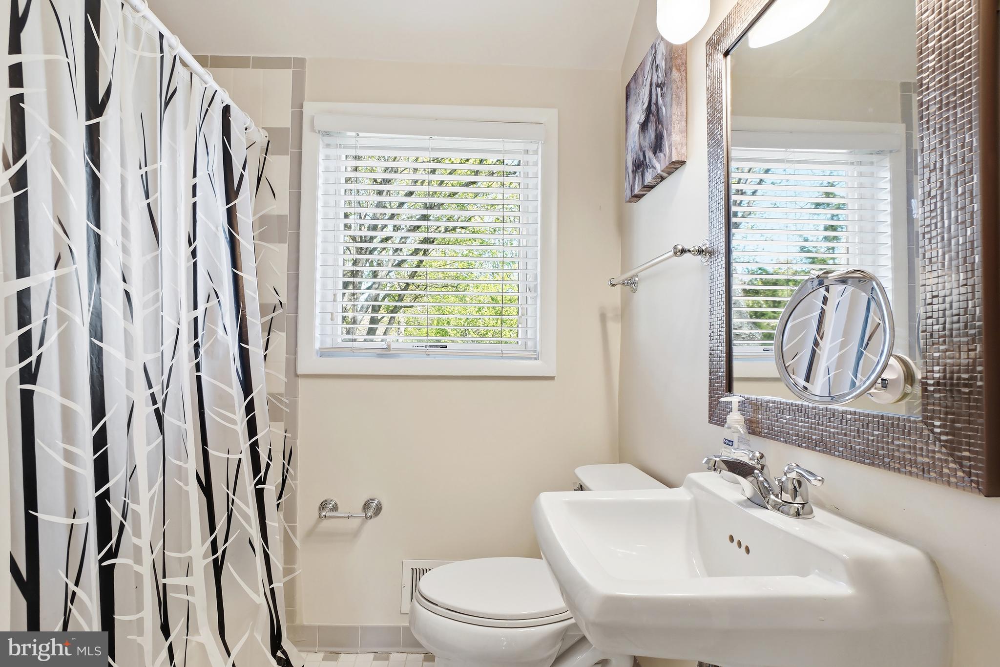 1303 Ballard Street Silver Spring, MD 20910 - Photo 41 of 53 a bathroom with a sink a toilet and a mirror