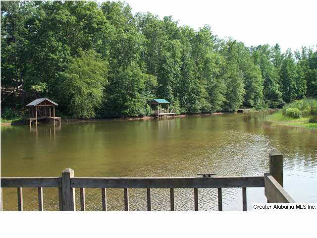 263 County Road 263, Unit 2 PARCLS Lineville, AL 36266 - Photo 6 of 14
