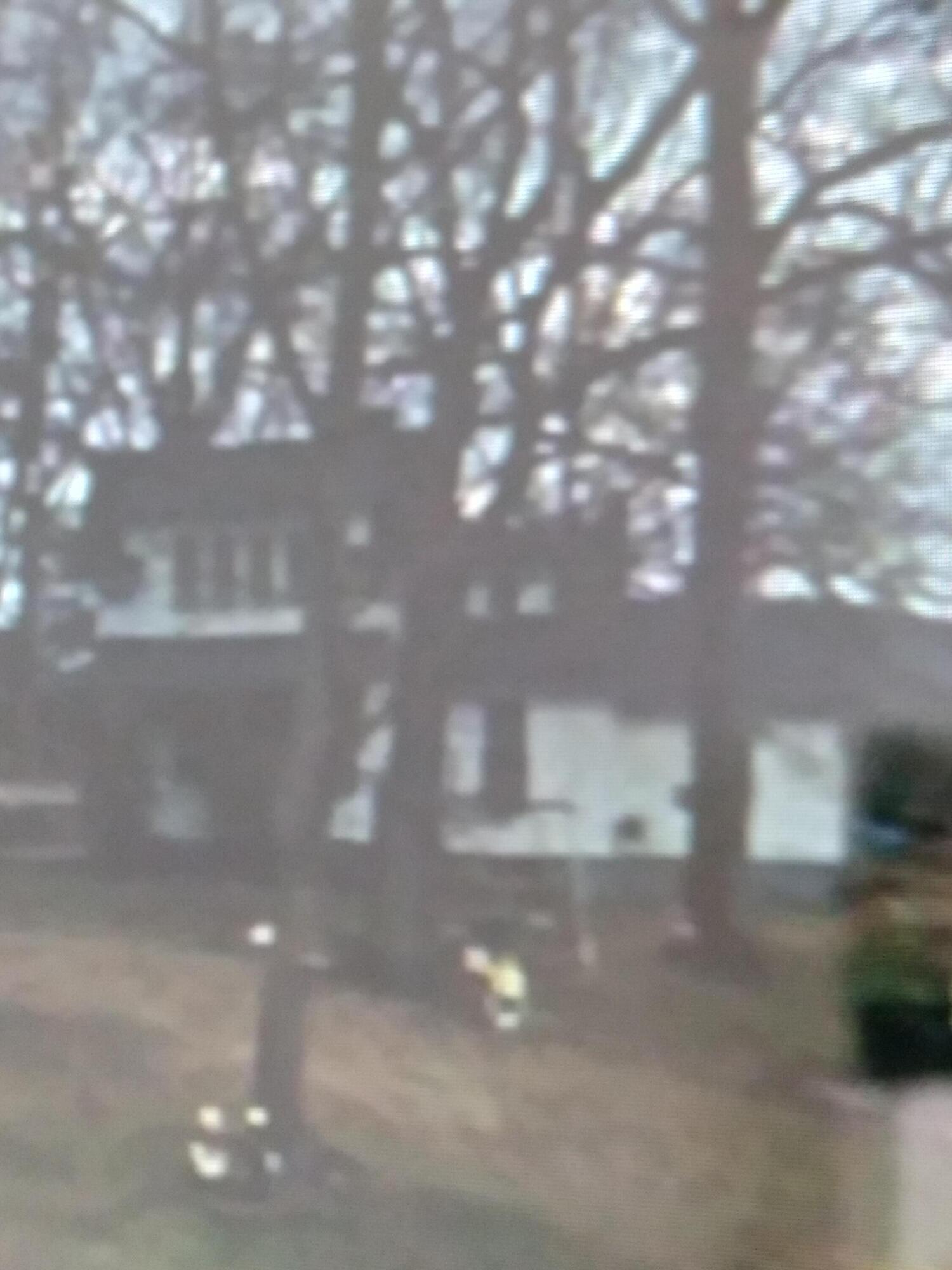 2968 Spring Road Patrick Springs, VA 24133 - Photo 1 of 1 20220218_140244