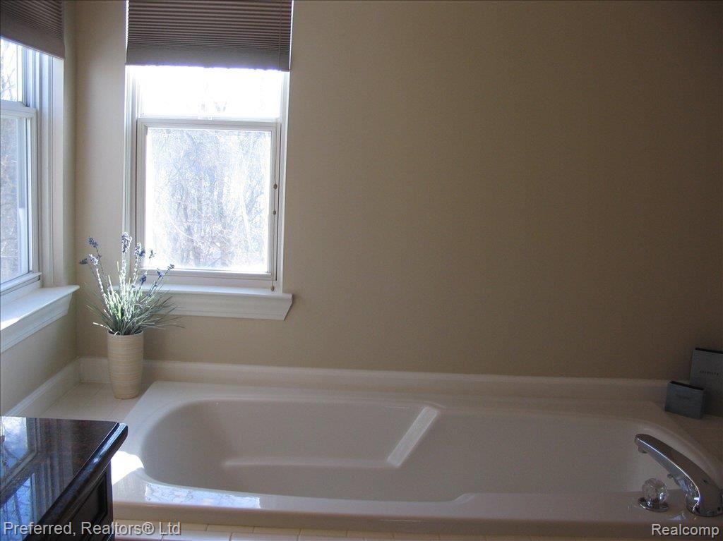 925 Ridgeview Circle Lake Orion, MI 48362 - Photo 13 of 24 MASTER SOAKING TUB