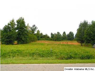 87 County Road, Unit 4 Roanoke, AL 36274 - Photo 1 of 1
