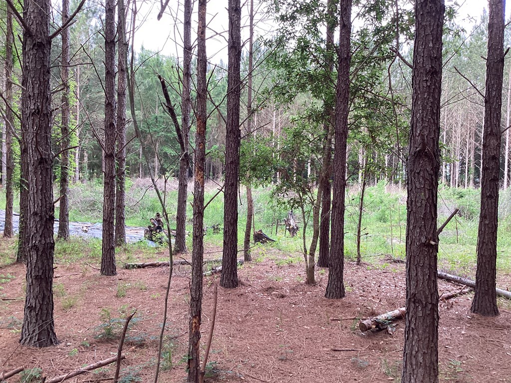 1290 Guy Branch Road Cottonwood, AL 36320 - Photo 11 of 20