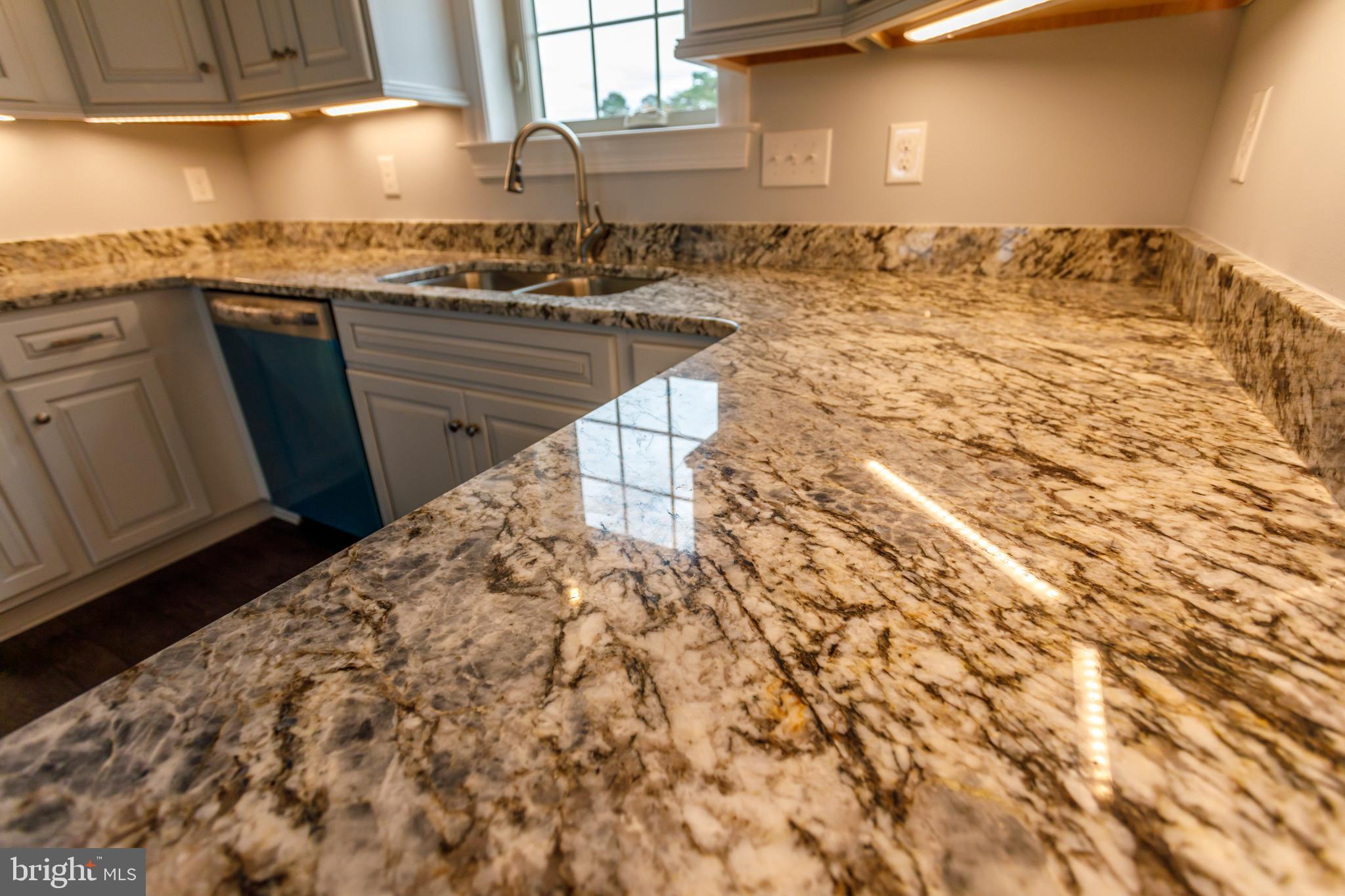 20695 State Forest Road Georgetown, DE 19947 - Photo 33 of 60 Granite counter tops