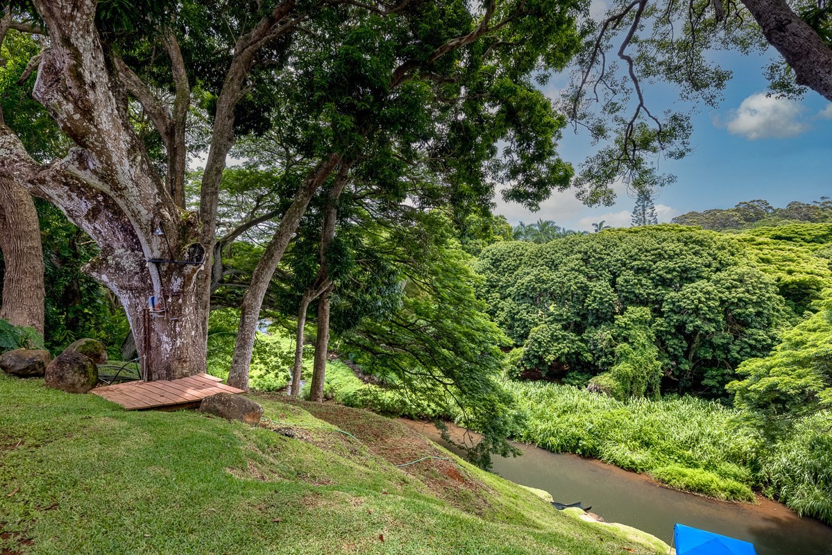 6281 Hauaala Road, Unit 2 Kapaa, HI 96746 - Photo 8 of 30