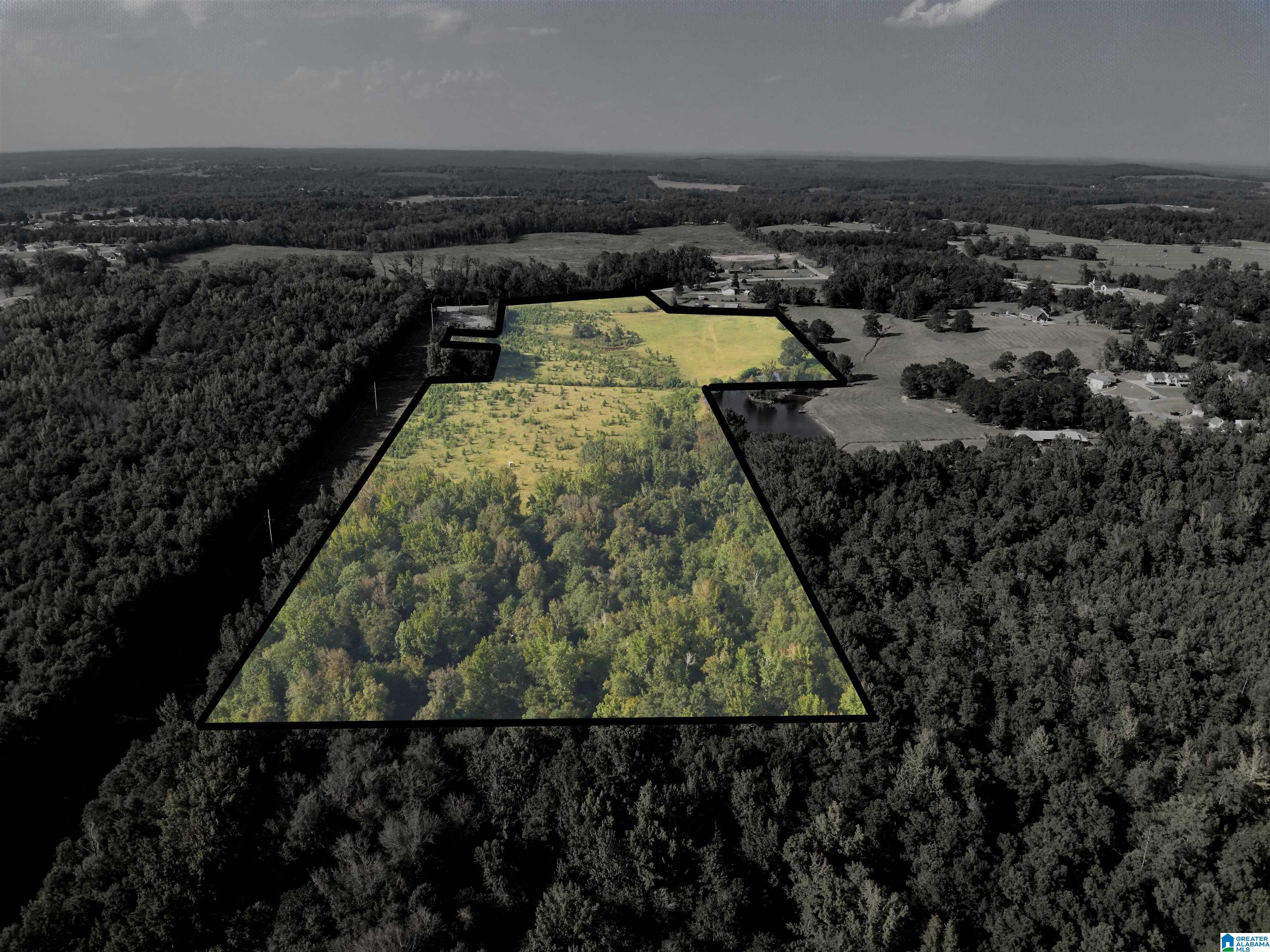 0 New Harmony Road, Unit 35 ACRES / Clanton, AL 35045 - Photo 5 of 21