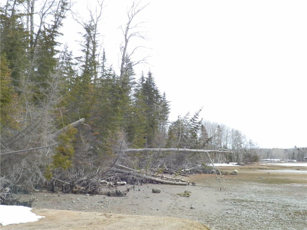 0 Rays Point Road Milbridge, ME 04658 - Photo 4 of 34 looking easterly
